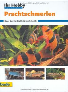 Prachtschmerlen, Ihr Hobby von Klaus Gernhard, Dr. Jürgen Schmidt | Buch | Zustand sehr gut