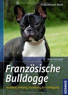 Französische Bulldogge: Auswahl, Haltung, Erziehung, Beschäftigung