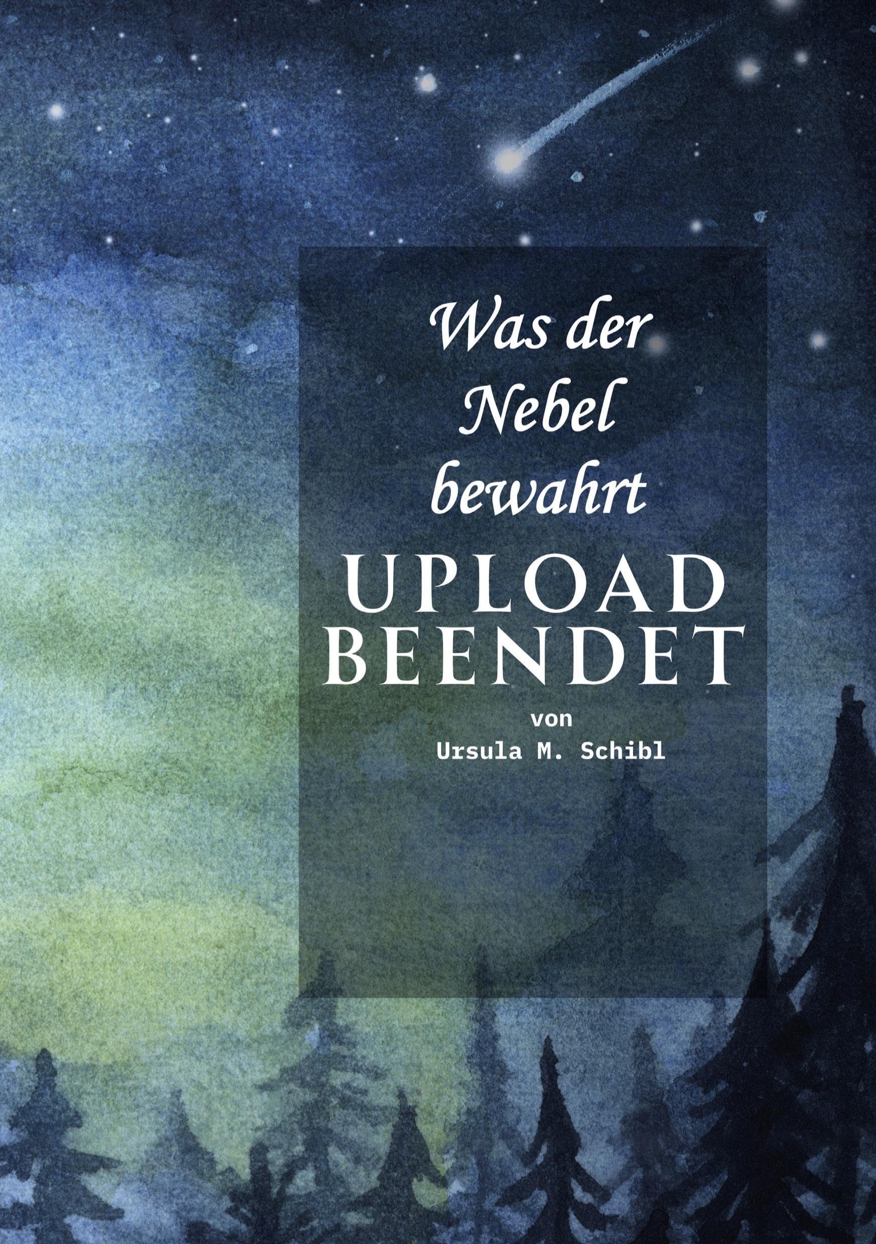 Was der Nebel bewahrt - UPLOAD beendet: Ein österreichischer Landkrimi