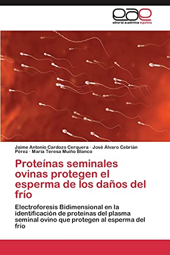 Proteínas seminales ovinas protegen el esperma de los daños del frío: Electroforesis Bidimensional en la identificación de proteínas del plasma seminal ovino que protegen al esperma del frío