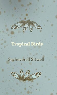 Tropical Birds