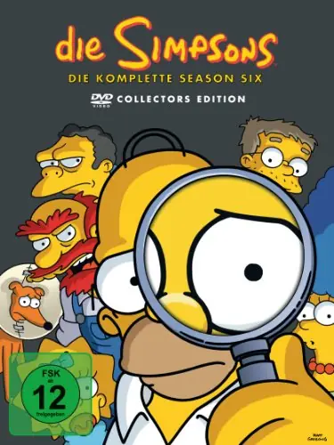 Die Simpsons Season 6 DVD