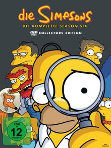 Die Simpsons - Die komplette Season 6 (Collector's Edition, 4 DVDs)
