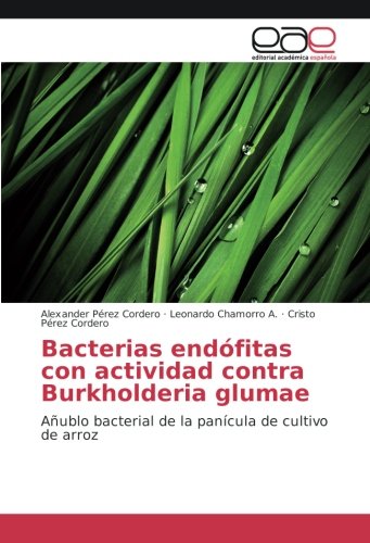 Bacterias endófitas con actividad contra Burkholderia glumae: Añublo bacterial de la panícula de cultivo de arroz