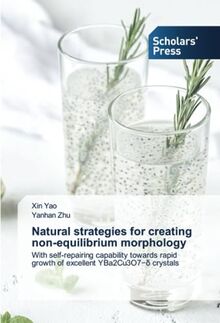 Natural strategies for creating non-equilibrium morphology: With self-repairing capability towards rapid growth of excellent YBa2Cu3O7−δ crystals: ... growth of excellent YBa2Cu3O7¿¿ crystals