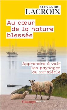 Au coeur de la nature blessée : apprendre à voir les paysages du XXIe siècle : essai