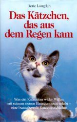 Das Kätzchen, das aus dem Regen kam