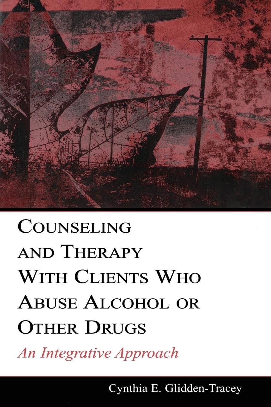 Counseling and Therapy With Clients Who Abuse Alcohol or Other Drugs: An Integrative Approach (Counseling and Psychotherapy)