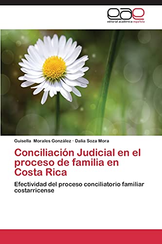 Conciliación Judicial en el proceso de familia en Costa Rica: Efectividad del proceso conciliatorio familiar costarricense