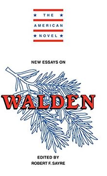 New Essays on Walden (The American Novel)