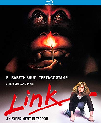 Link Blu-ray - Image 2