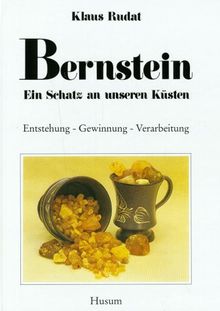 Bernstein, ein Schatz an unseren Küsten von Klaus Rudat | Buch | Zustand gut