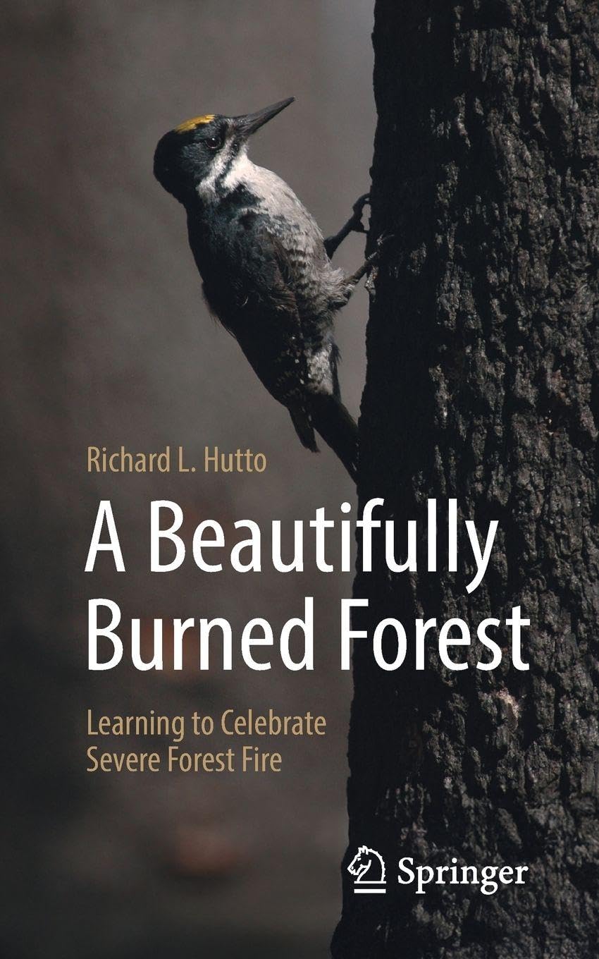 A Beautifully Burned Forest: Learning to Celebrate Severe Forest Fire