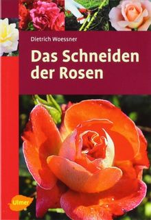 Das Schneiden der Rosen