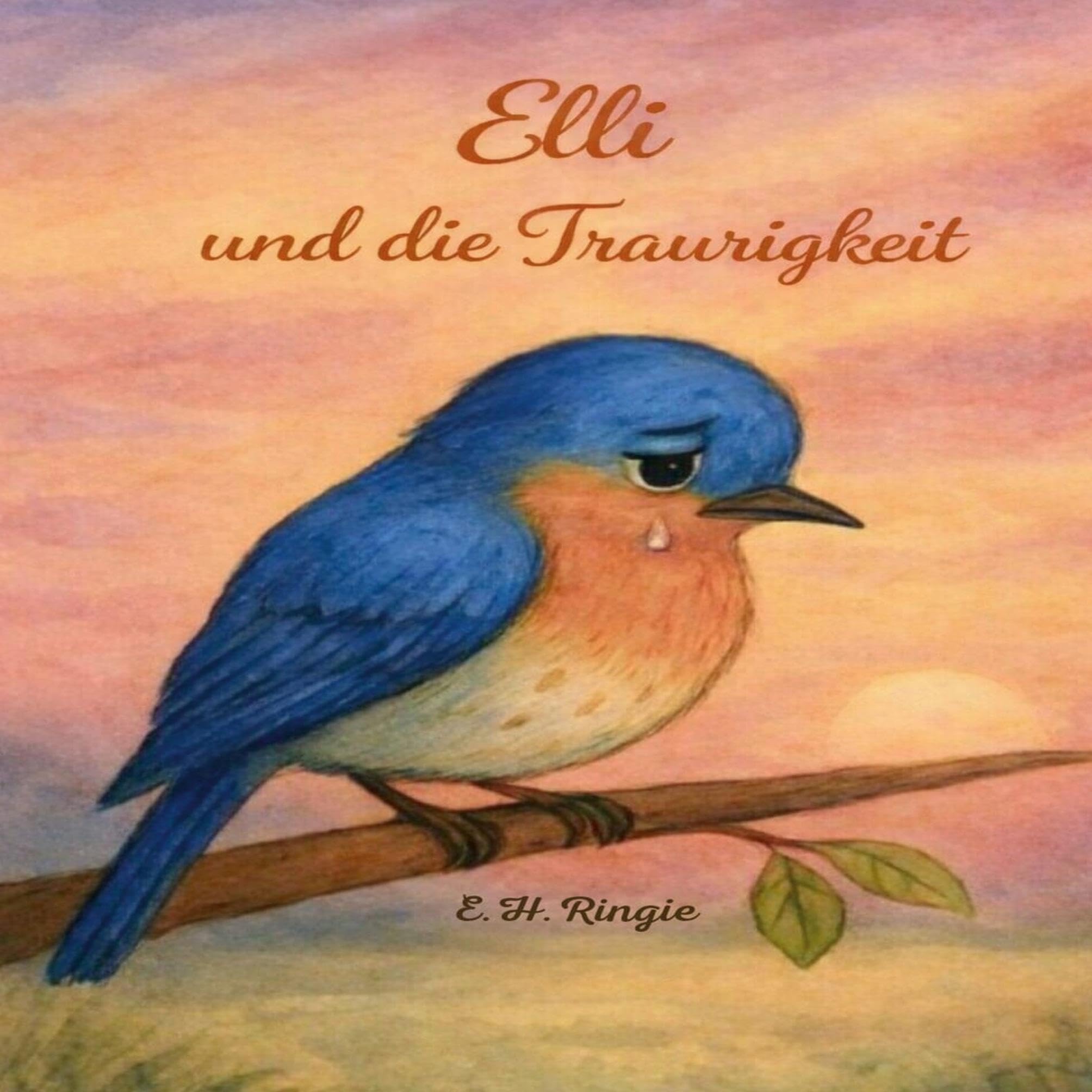 Elli und die Traurigkeit (Ellis Buchwelt)