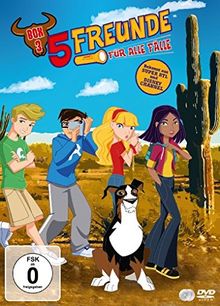 5 Freunde für alle Fälle, Box 3 [2 DVDs]