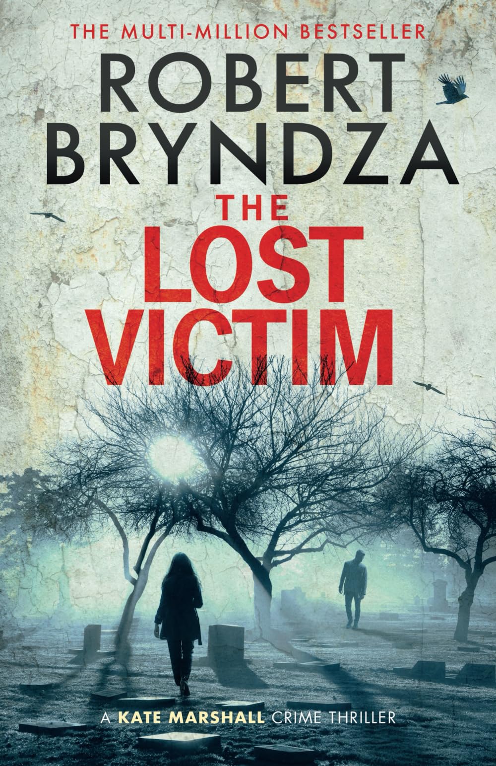 Robert Bryndza The Lost Victim (Private Detective Kate Marshall, Band 5)