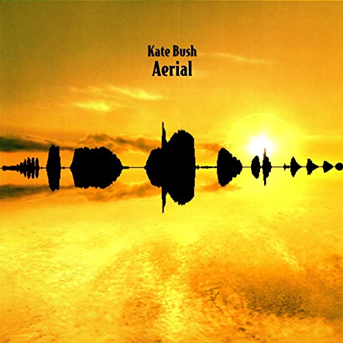 KATE BUSH Disques vinyle Pop Rock Warner Music  - Aerial