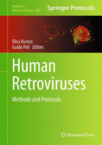 Human Retroviruses: Methods and Protocols (Methods in Molecular Biology)