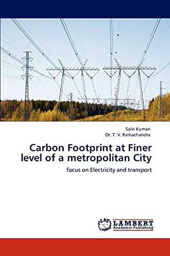 Carbon Footprint at Finer level of a metropolitan City: focus on Electricity and transport