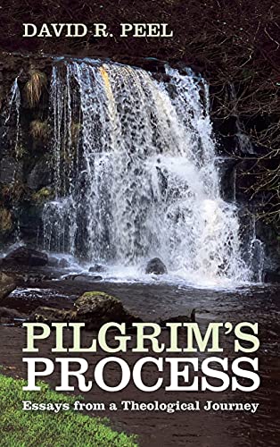 Pilgrim's Process: Essays from a Theological Journey