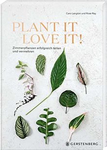 Plant it - love it!: Zimmerpflanzen erfolgreich teilen und vermehren