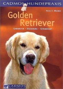 Golden Retriever. Charakter - Erziehung - Gesundheit