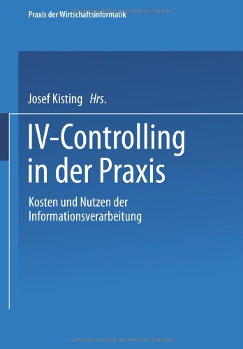 Iv-Controlling in der Praxis (Praxis der Wirtschaftsinformatik)