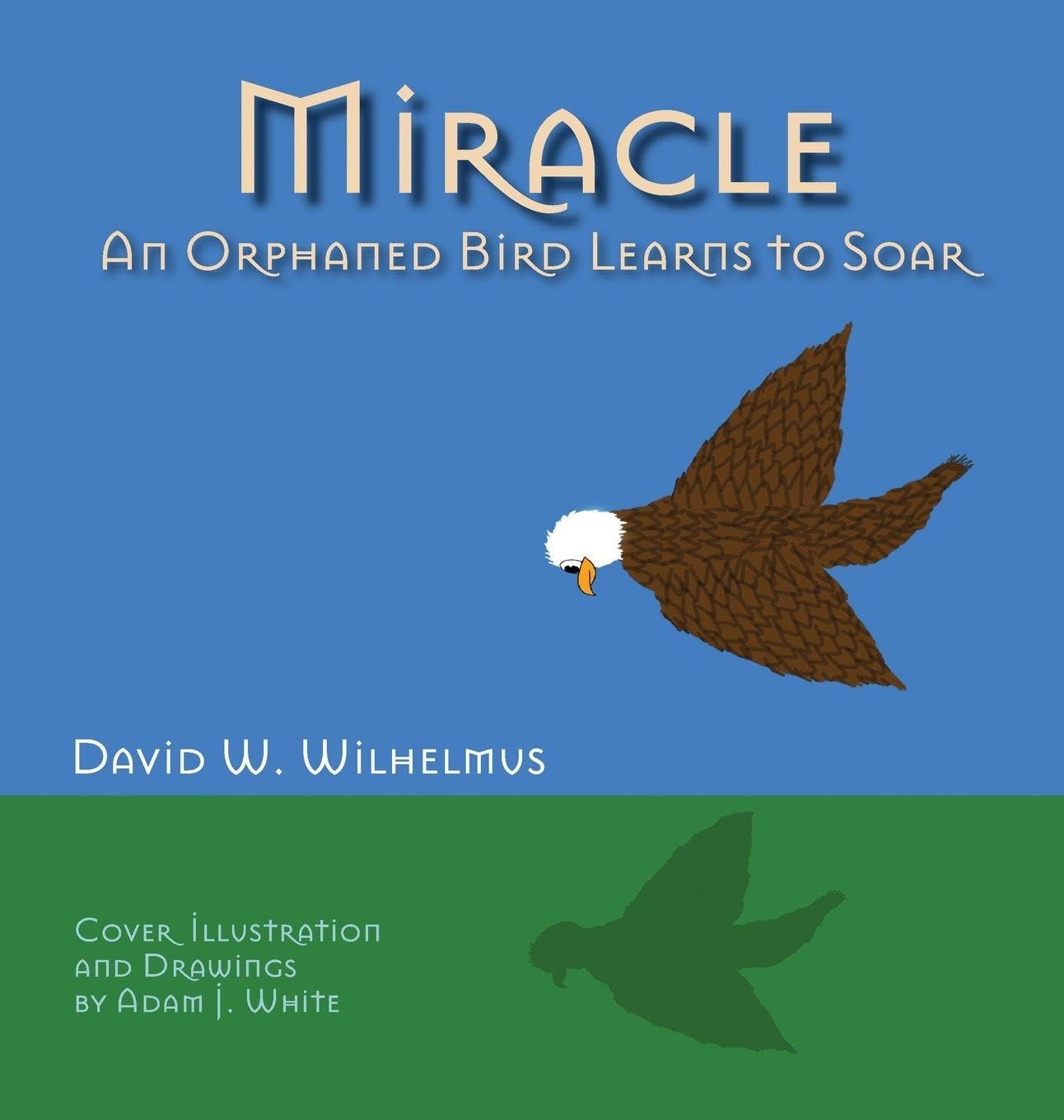 Miracle: An Orphaned Bird Learns To Soar