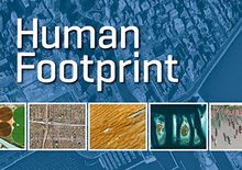 Human Footprint: Der Ausstellungskatalog von Eisl, Markus M., Mansberger, Gerald | Buch | Zustand gut