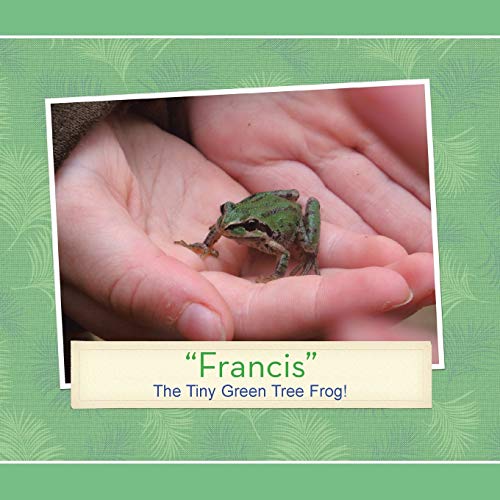 Francis: The Tiny Green Tree Frog!