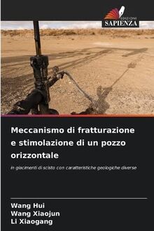 Meccanismo di fratturazione e stimolazione di un pozzo orizzontale: in giacimenti di scisto con caratteristiche geologiche diverse