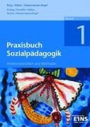 Praxisbuch Sozialpädagogik - Band 1. Arbeitsmaterialien und Methoden
