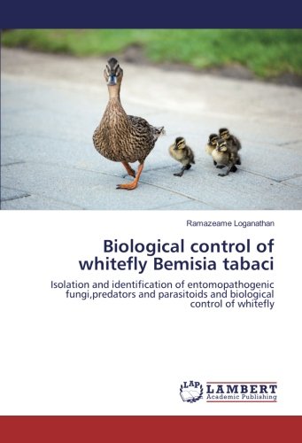 Biological control of whitefly Bemisia tabaci: Isolation and identification of entomopathogenic fungi,predators and parasitoids and biological control of whitefly