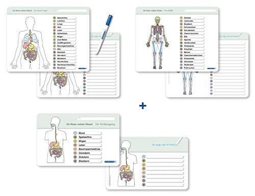 Ich kenne meinen Körper - Organe / Skelett / Verdauung- 3 Tafeln im Set mit Stift: 3 stabile wiederbeschreibbare Lernvorlagen im großen Format