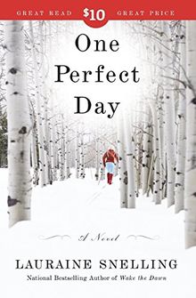 One Perfect Day: A Novel