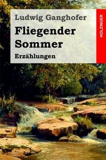 Fliegender Sommer: Erzählungen