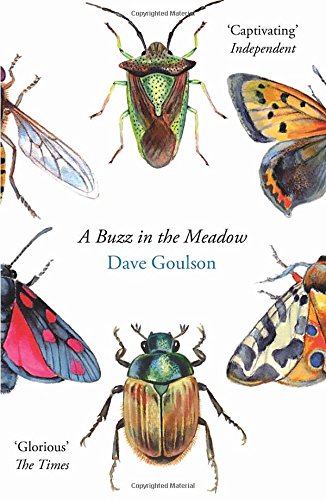 Dave Goulson A Buzz In The Meadow