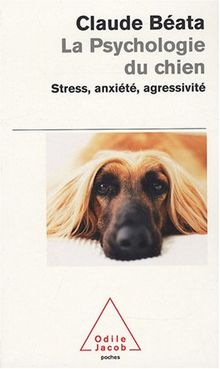 La psychologie du chien : stress, anxiété, agressivité...