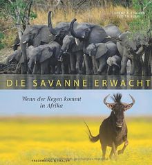 Die Savanne erwacht: Wenn der Regen kommt in Afrika