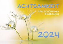 Achtsamkeit 2024: Der Schöpfung begegnen