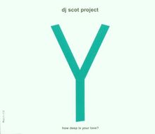 Y (How Deep Is Your Love?)