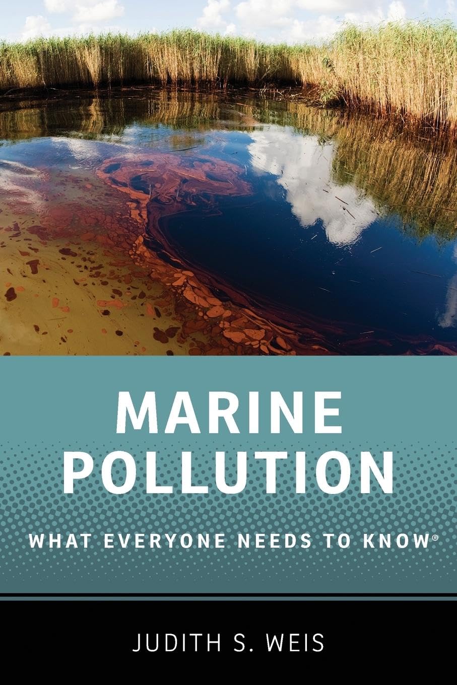 Marine Pollution: What Everyone Needs To Know