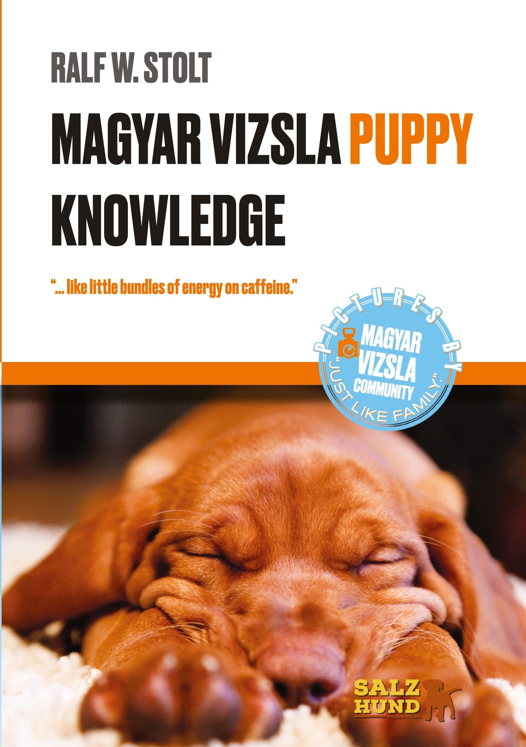 Magyar Vizsla PUPPIES Knowledge: “...like little bundles of energy on caffeine.” (Magyar Vizsla Wissen: Verstehe Deinen ungarischen Jagdhund)