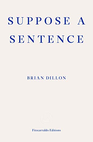 Suppose a Sentence - Brian Dillon Kartoniert (TB)