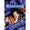 Aerosmith - In Performance