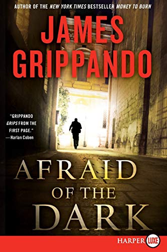 Afraid of the Dark: A Novel of Suspense (Jack Swyteck Novel, 9, Band 9)