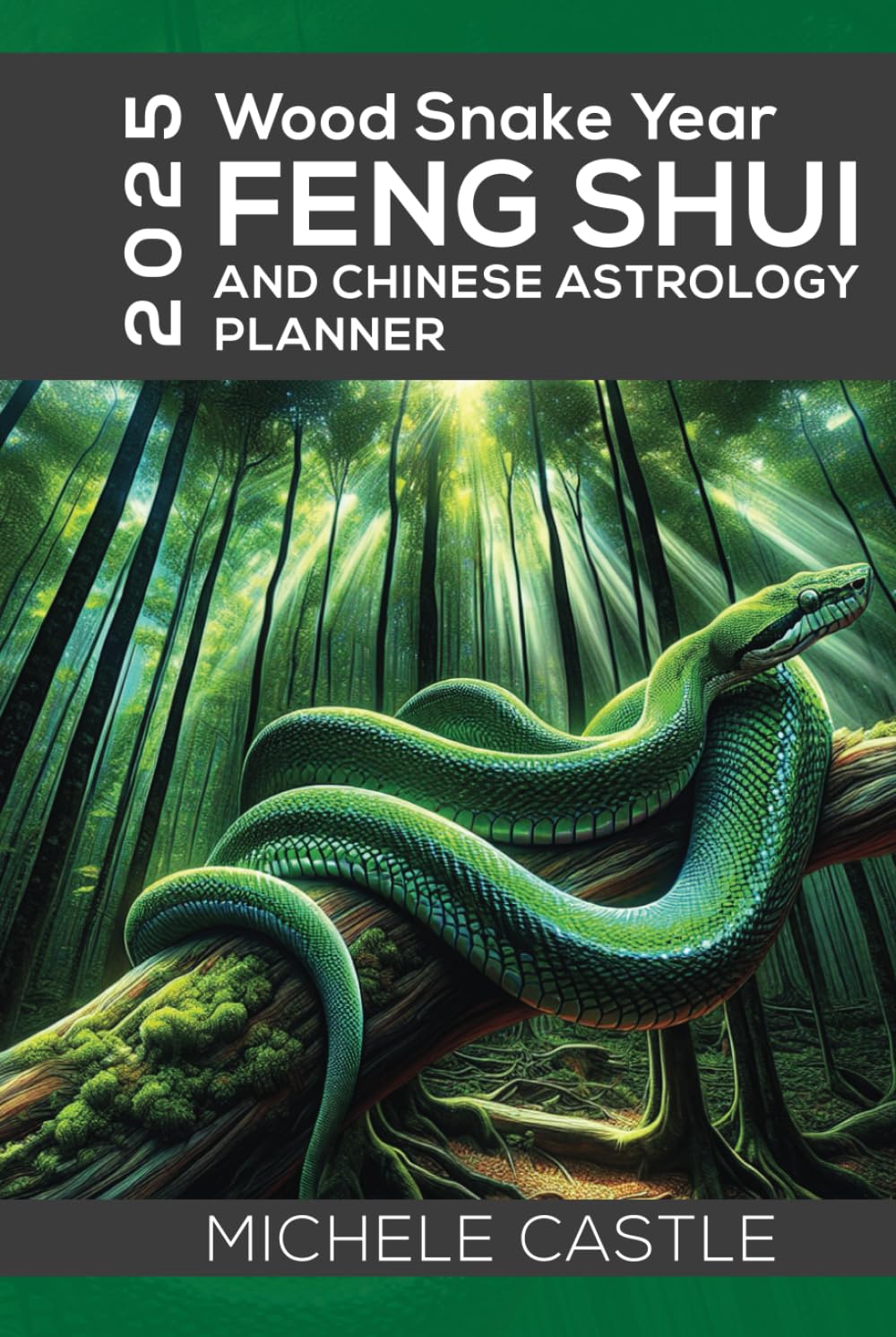 2025 Wood Snake Year: FENG SHUI and Chinese Astrology Planner