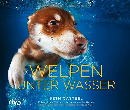 Underwater Dogs: Seth Casteel: 9780755364114: : Books