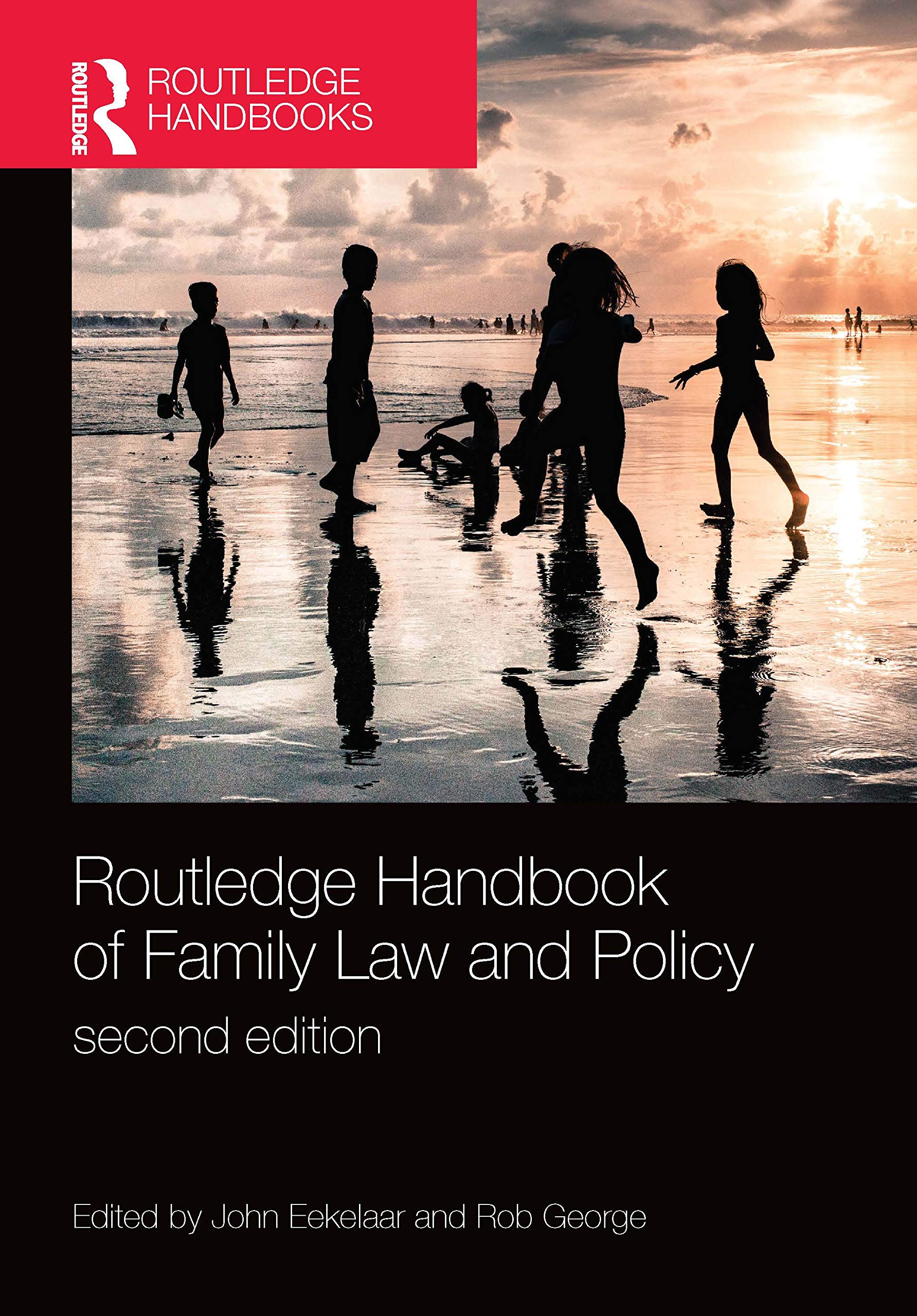 Routledge Handbook of Family Law and Policy (Routledge Handbooks in Law)